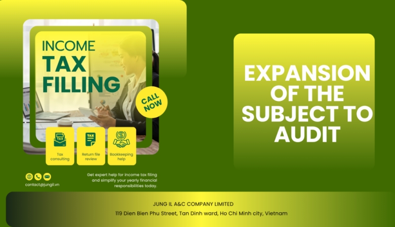 THE EXPANSION OF THE SUBJECT TO AUDIT THE FINANCIAL STATEMENT